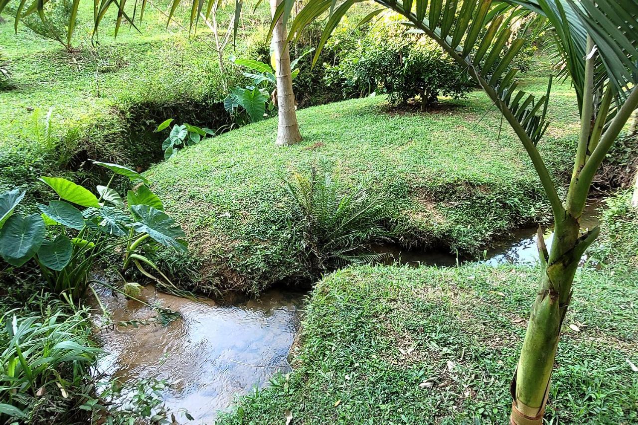 Villa Chalé imerso na Natureza! à Sao Bonifacio Extérieur photo
