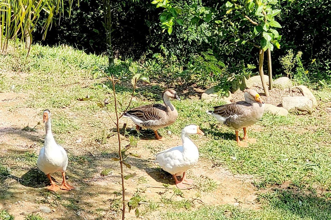 Villa Chalé imerso na Natureza! à Sao Bonifacio Extérieur photo