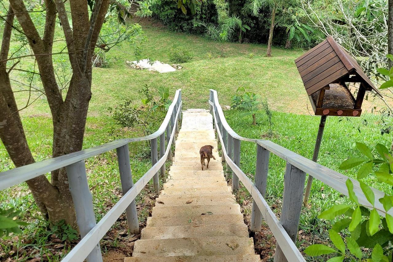 Villa Chalé imerso na Natureza! à Sao Bonifacio Extérieur photo